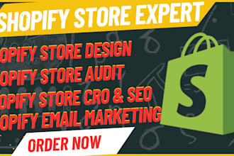 conduct cro audit to increase conversion of your shopify store