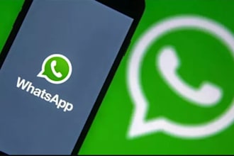 grow whatsapp channel,whatsapp ads, mass dm, bulk sms message to get real member