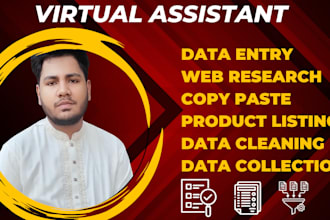 be your dedicated VA for data entry, data collection, typing and online research