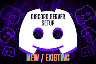 set up a professionally developed discord server for you