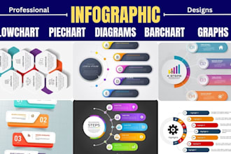 design custom infographics charts diagrams for business presentation