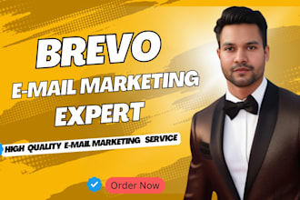 design brevo email marketing newsletter template, get bravo all services