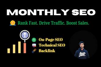 provide complete monthly SEO services for top google ranking