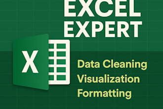 do data cleaning visualization and formatting