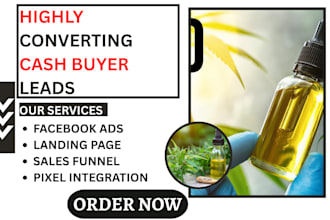 cbd lead generation cannabis expert marijuana SEO industry email marketing