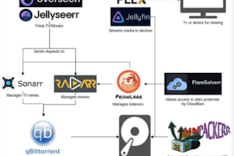 setup and automate your media server plex, jellyfin, emby, magix, radarr