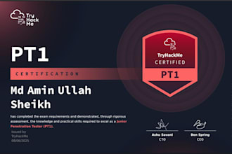 perform expert website and API penetration testing