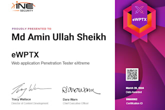 perform expert website and API penetration testing