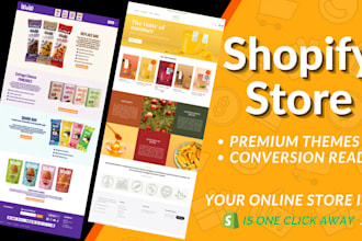 develop a premium shopify store that converts visitors into customers