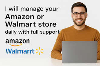 manage your amazon or walmart store daily with full support