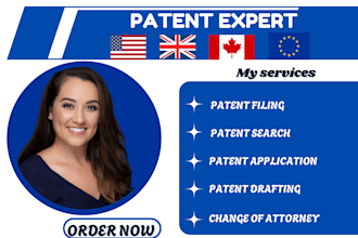 assist in writing, research, filing your patent application