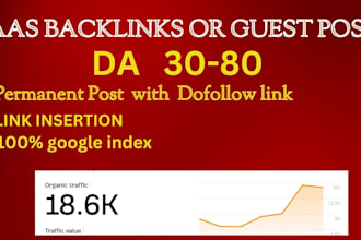do guest post and niche edits on saas domains