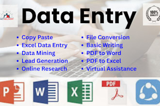 do excel data entry, copy paste, convert PDF, web research, typing, data entry
