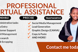 be professional executive virtual assistant and social media manager VA admin