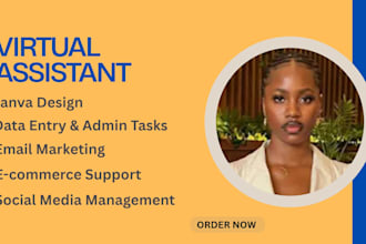 virtual assistant, data entry, social media VA, gohighlevel virtual assistant