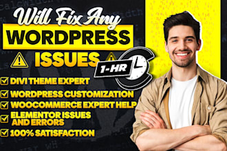 fix elementor pro bug errors, fix woocommerce website bugs, fix divi website bug