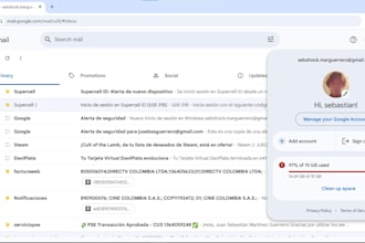 expert gmail inbox management and organization
