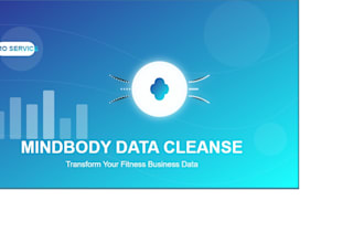 virtual assistant for mindbody client data cleanup, update and remove duplicates