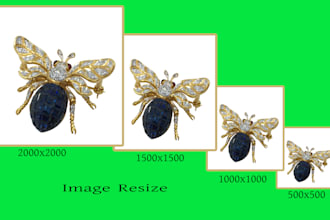 image resize , crop image and rename photo professionally