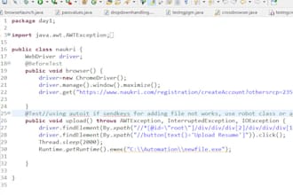 test your website for bugs manually and with automation