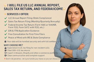 file annual report, sale tax return for USA llc and federal income tax returns