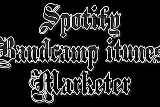 promote your spotify track, bandcamp, itunes to increase streams and fans