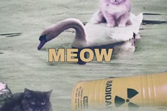 design a unique and professional album cover for your music