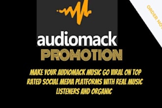 promote your music on spotify audiomack tiktok via ads on social media