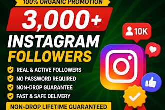 buy 3000 instagram followers fast
