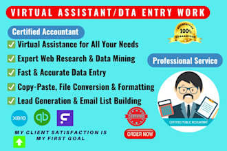 be your virtual assistant in data entry,data mining, copy paste and web research