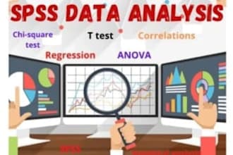 do data cleaning, visualization, analysis, reporting by r, spss, sas, tableau