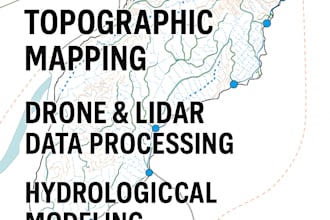 process drone, lidar, sar data for topographic and hydrological mapping