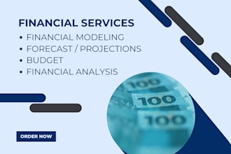 build excel financial model, forecasts, budget, projections