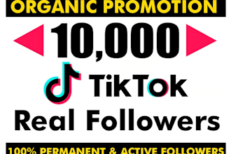 grow your 1000 tik tok followers fast and organically for monetization