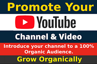 do organic youtube promotion to boost video views and channel growth