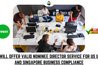offer valid nominee director service for US UK and singapore business compliance