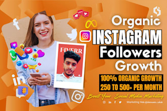 do instagram marketing, promote, manage and grow your page