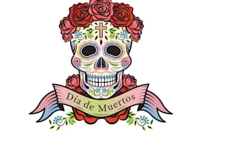 design a professional skull logo