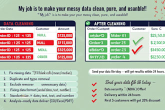 data cleaning, preprocessing and feature engineering service