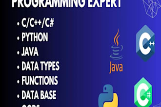 do python, java and cpp programming projects or review code