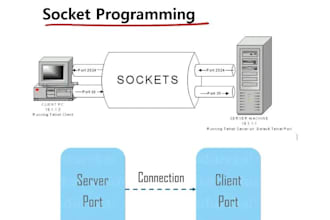 do socket programming, networking, tcp ip udp in python c cpp
