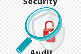 conduct a professional security audit for your systems