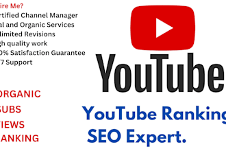do youtube channel SEO and video optimization for top ranking