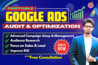 deeply setup, audit and optimize PPC campaign, google adwords, search ads