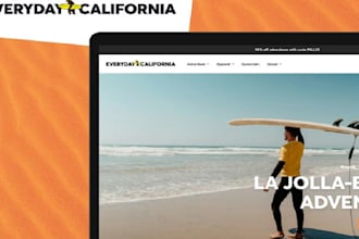 create passive income dropshipping store for shopify website, shopify aliexpress