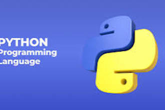 do your python projects and python scripting