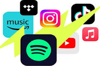 do superfast organic music promotion