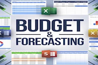 do excel financial model, forecasts, budget, and business plan