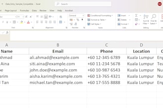 do fast and accurate data entry in excel, word, CRM, or google sheets