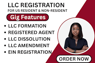 do usa llc formation in new mexico for non usa resident